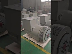 فئة H 10-1000 KW مولد AC بدون فرشاة ثلاثية المراحل