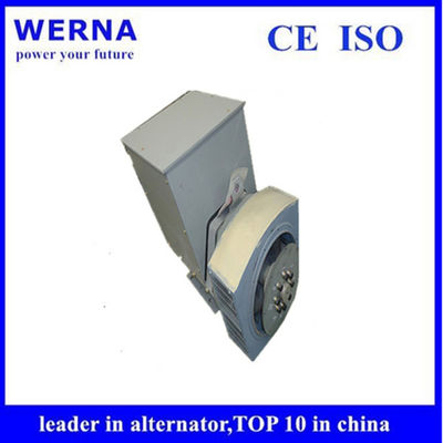 شراء Three-Phase Induction Generators Low THF and Copper Winding Material for Sustainable Power Generation online manufacture