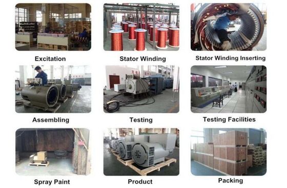 شراء Double Bearing Alternator with 110V-480V Voltage Range AVR SX460 AS440 and 20 Years Life Time for Industrial Power Generation online manufacture